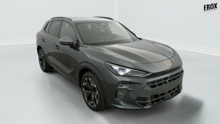 345217_p2 - CUPRA - TERRAMAR - 2025