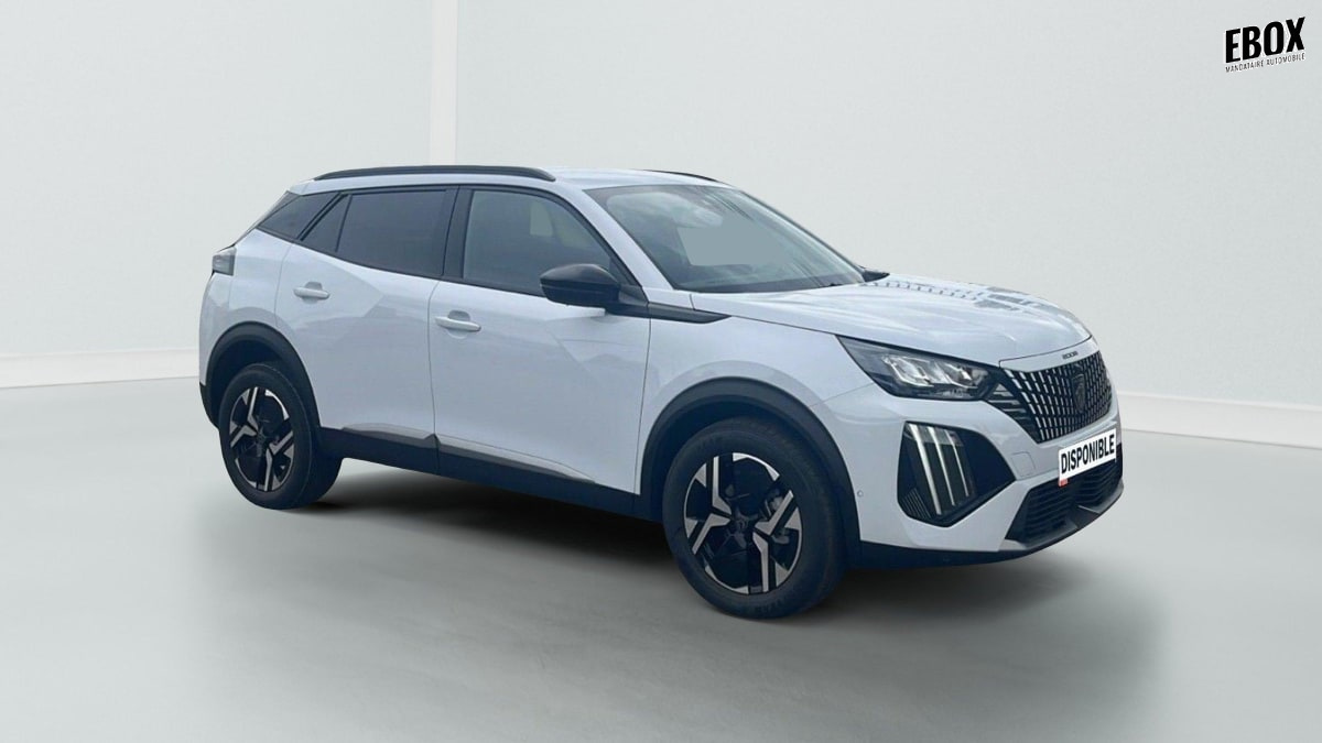 356164_p2 - PEUGEOT - 2008 - 2025 - photo 1