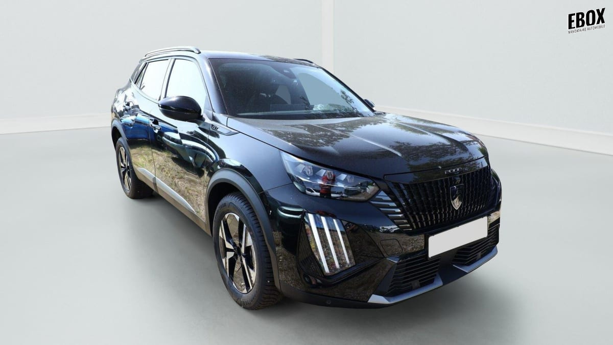 353572_p2 - PEUGEOT - 2008 - 2025 - photo 1