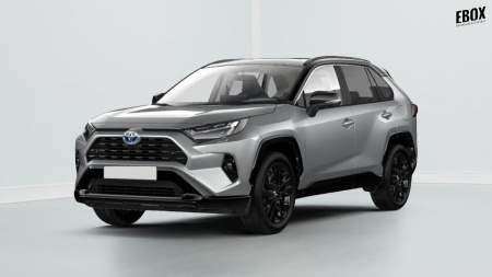 355805_p2 - TOYOTA - RAV 4 - 2025