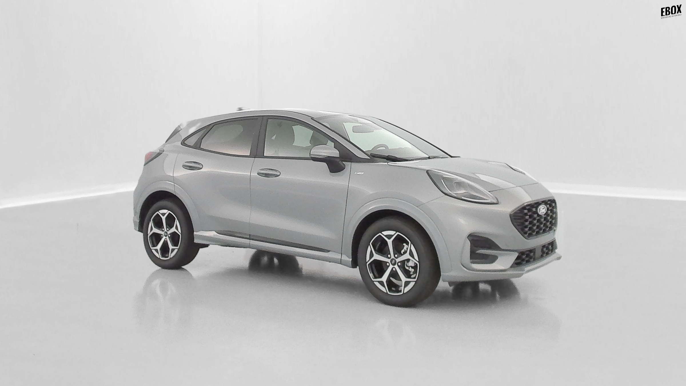 GLI00009892_p53 - FORD - PUMA - 2025 - photo 29