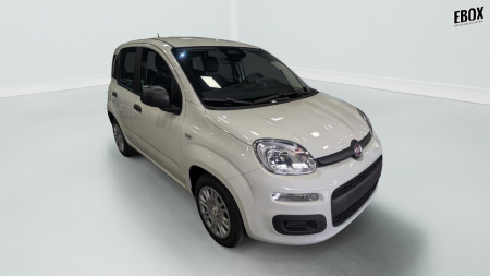 362551_p2 - FIAT - PANDA - 2025