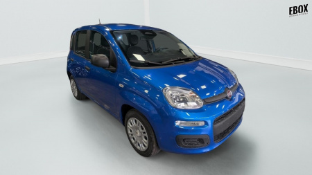 362543_p2 - FIAT - PANDA - 2025