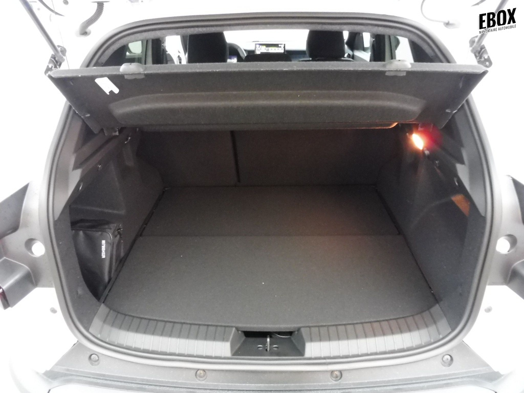 73250_p51 - DACIA - DUSTER - 2025 - photo 11