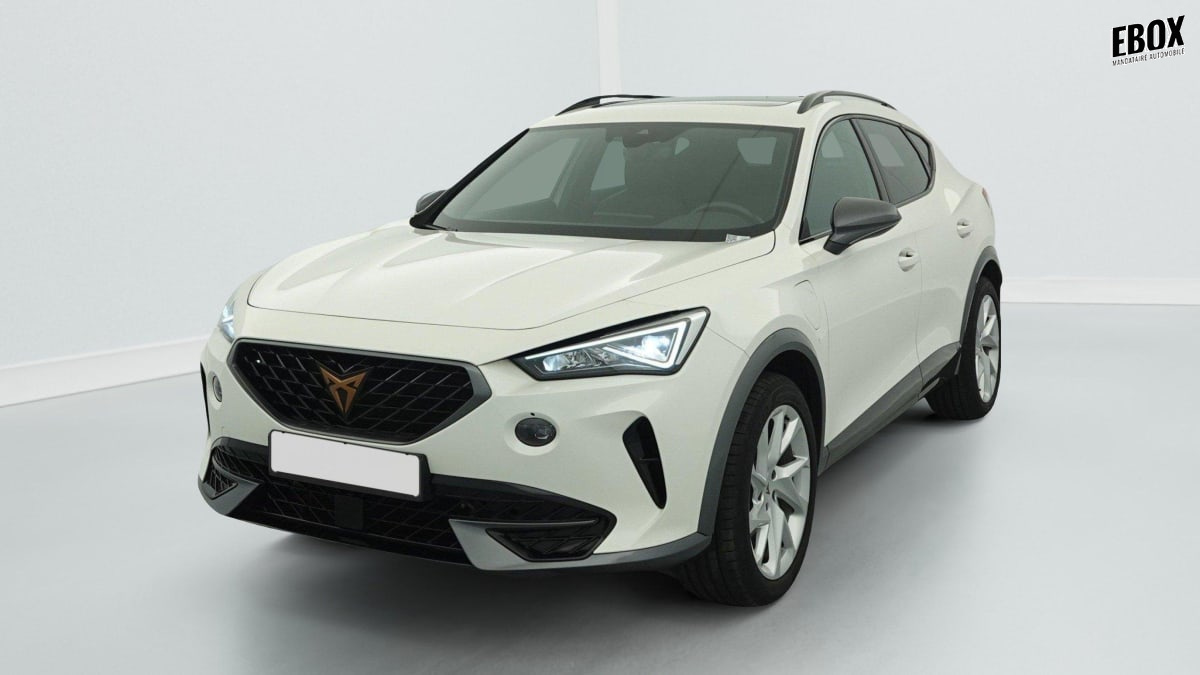 332313_p2 - CUPRA - FORMENTOR - 2022 - photo 3