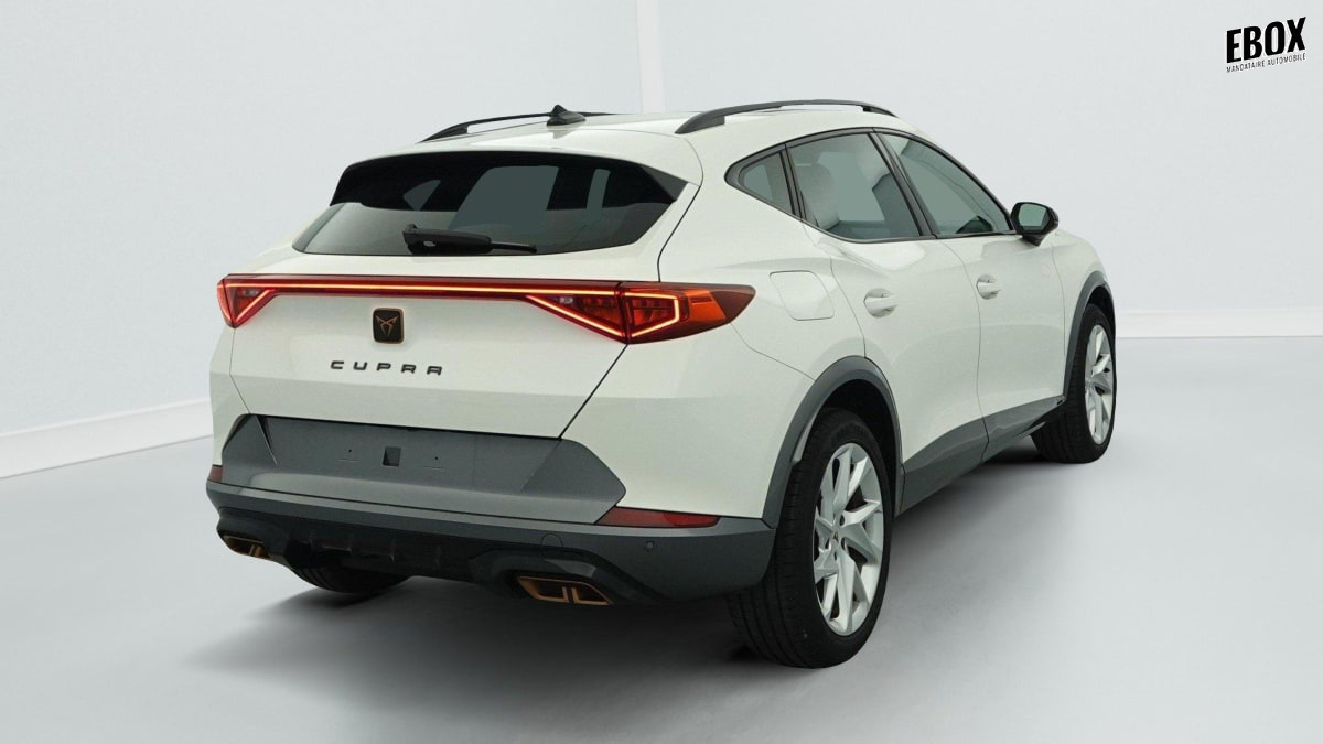 332313_p2 - CUPRA - FORMENTOR - 2022 - photo 6