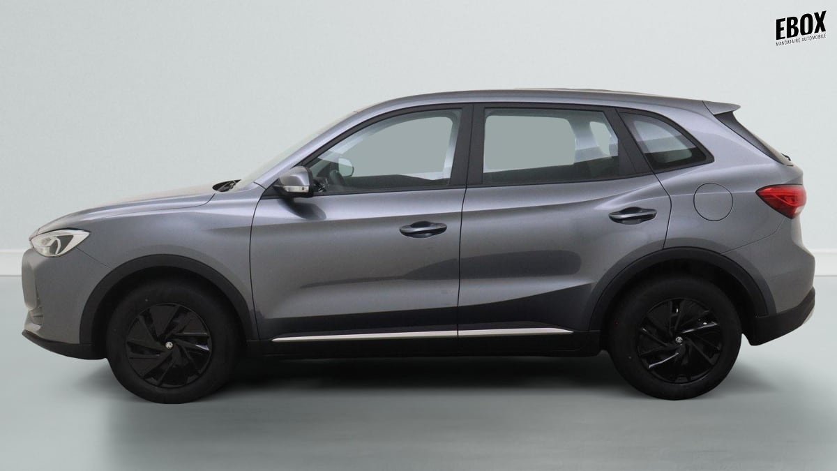 365593_p2 - MG - ZS - 2025 - photo 9