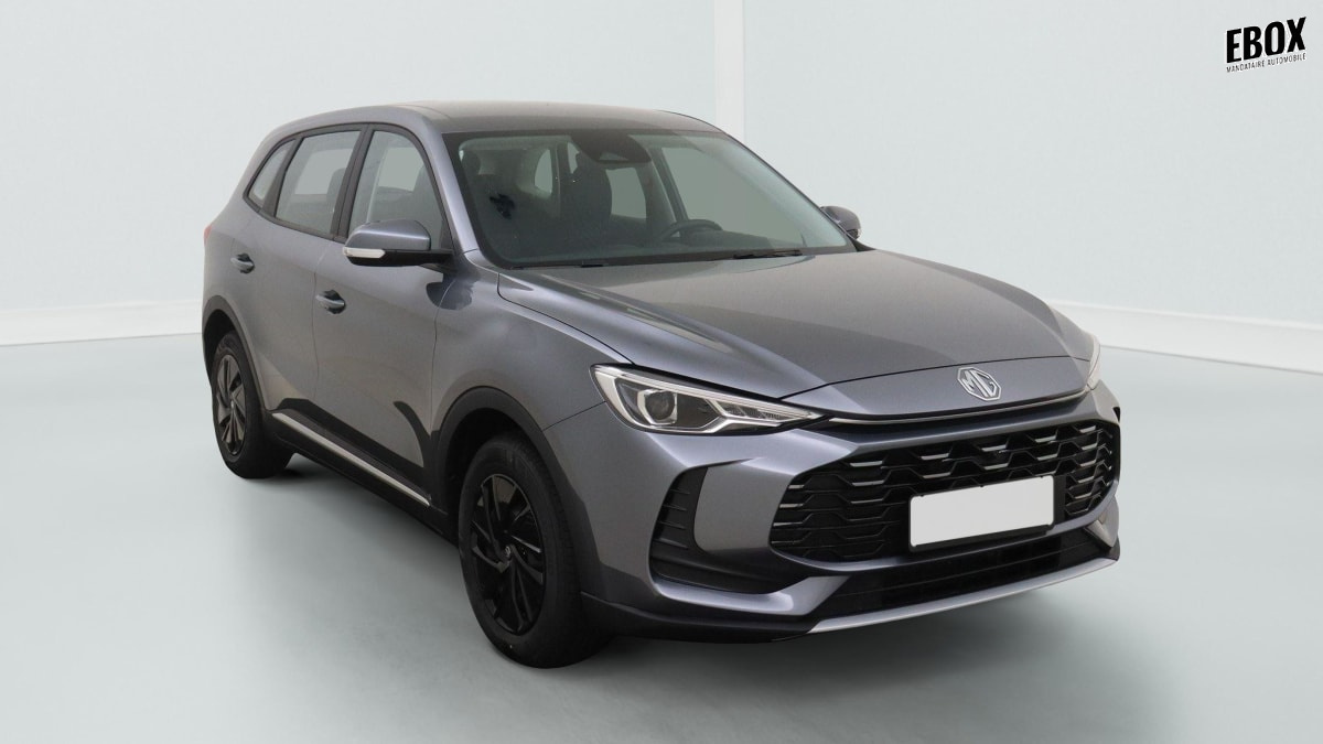 365593_p2 - MG - ZS - 2025 - photo 1