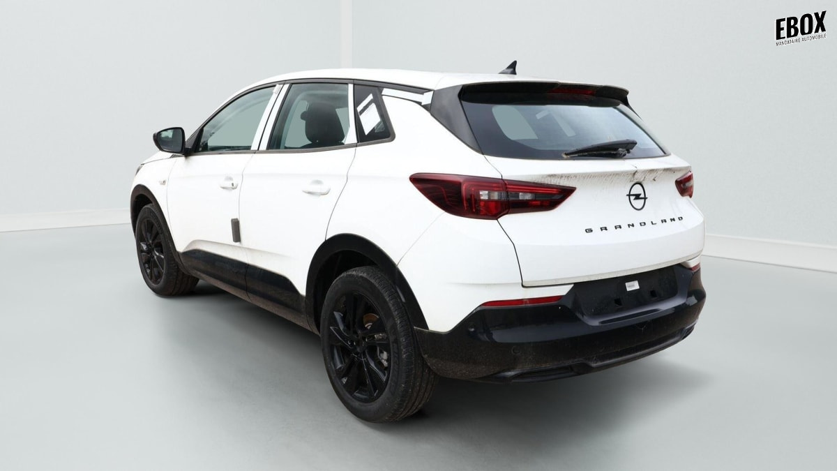 363814_p2 - OPEL - GRANDLAND - 2025 - photo 4