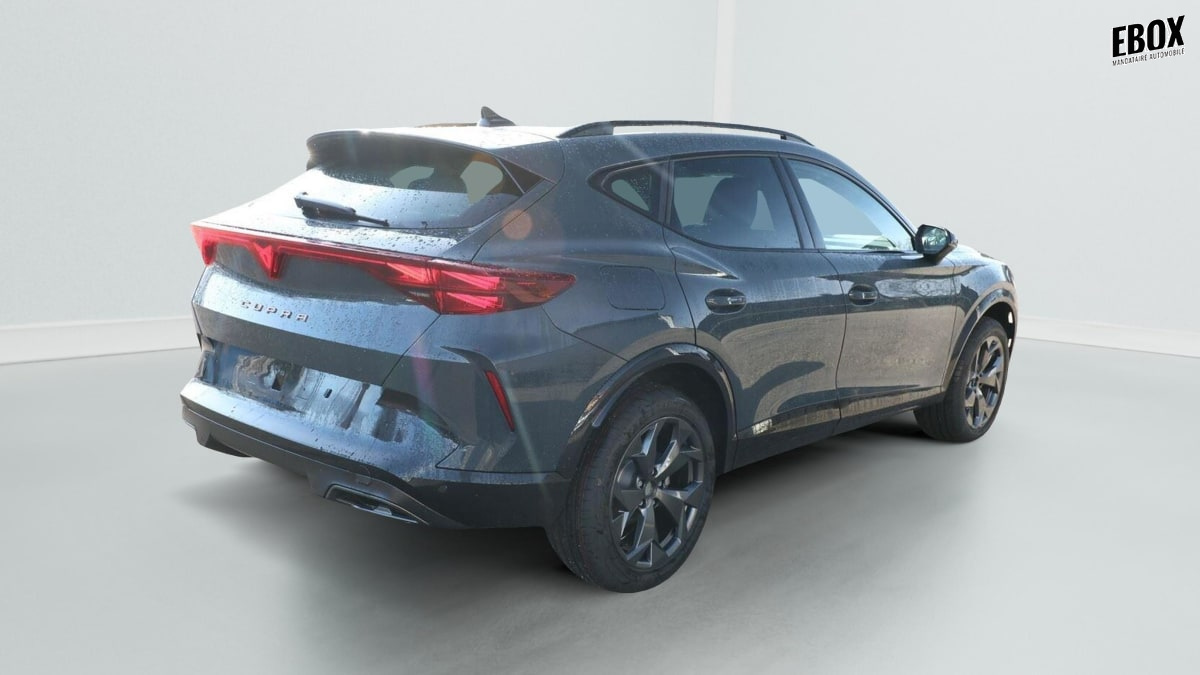 367273_p2 - CUPRA - FORMENTOR - 2025 - photo 3