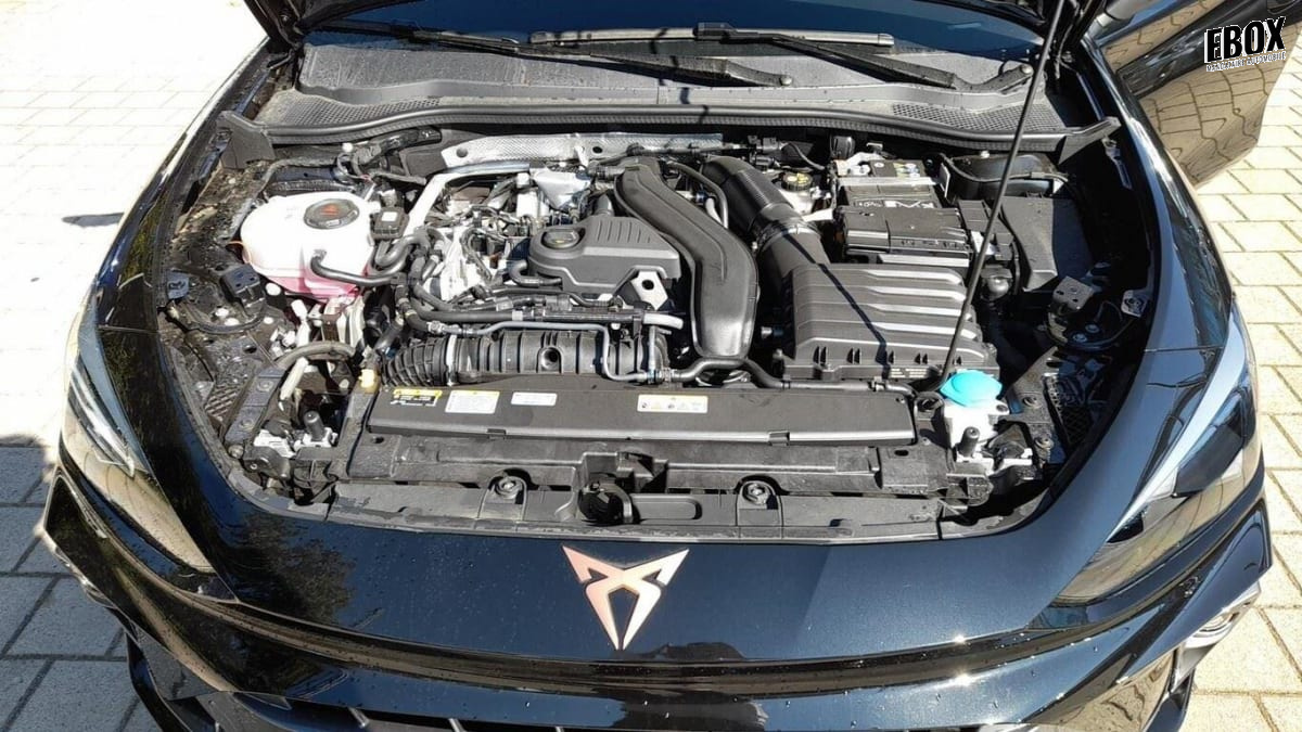 367497_p2 - CUPRA - LEON - 2025 - photo 9