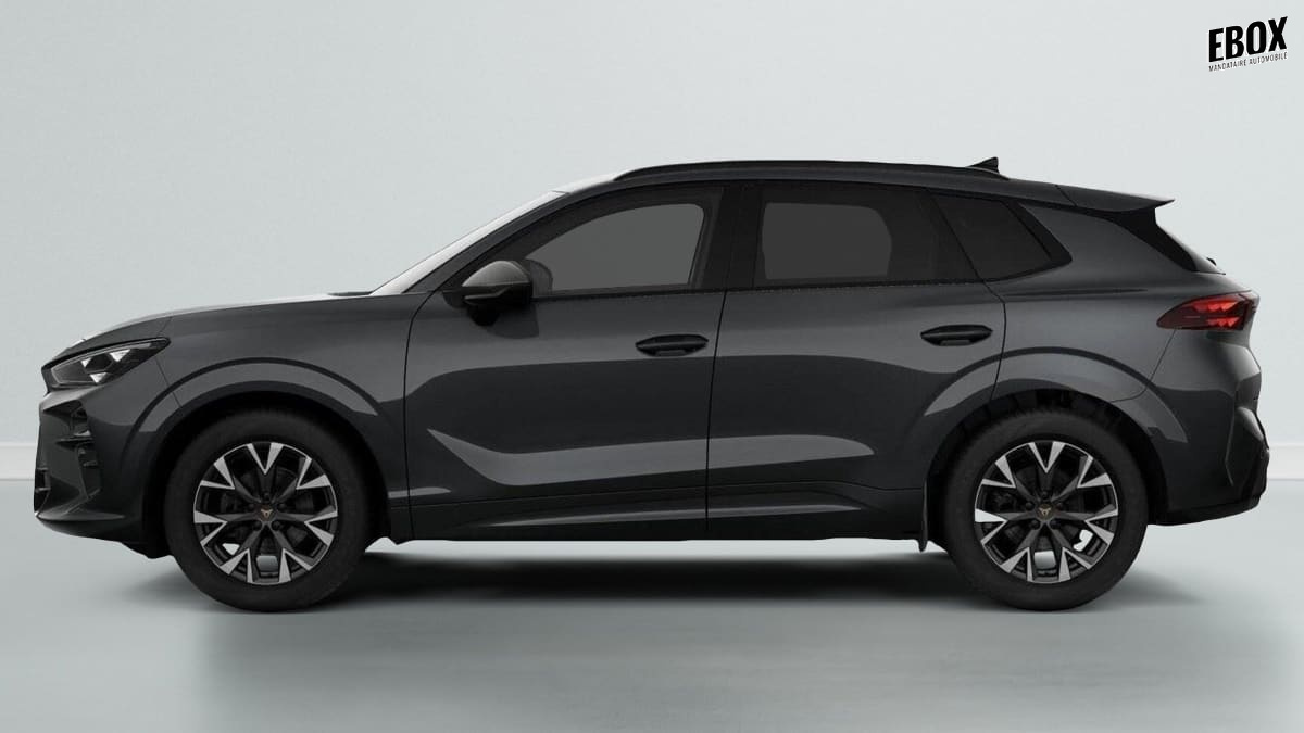 360640_p2 - CUPRA - TERRAMAR - 2025 - photo 2