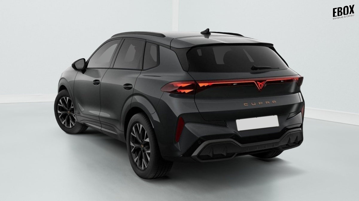 360640_p2 - CUPRA - TERRAMAR - 2025 - photo 3