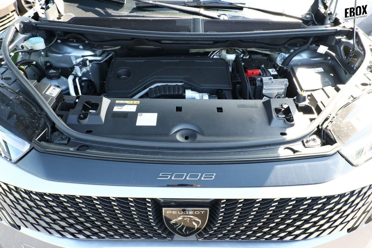 368186_p2 - PEUGEOT - 5008 - 2025 - photo 6