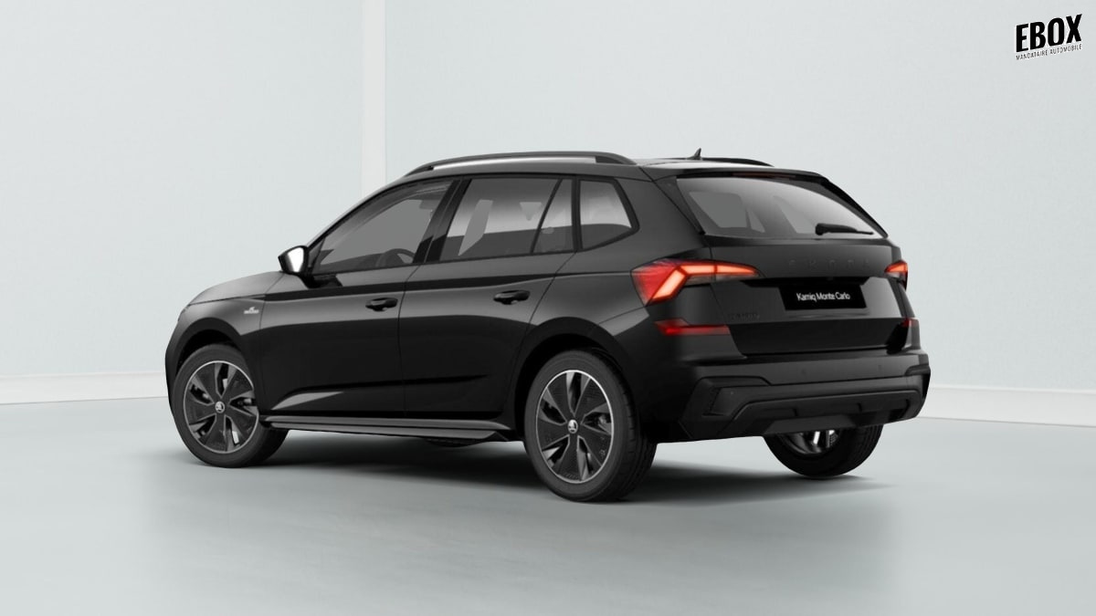 368585_p2 - SKODA - KAMIQ - 2025 - photo 3