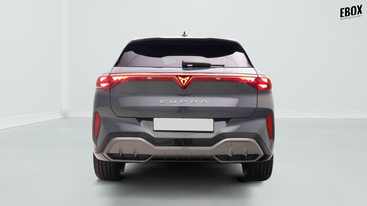 370273_p2 - CUPRA - TERRAMAR - 2025 - photo 5