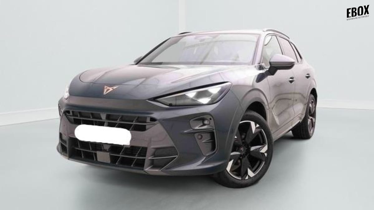 370276_p2 - CUPRA - TERRAMAR - 2025 - photo 1