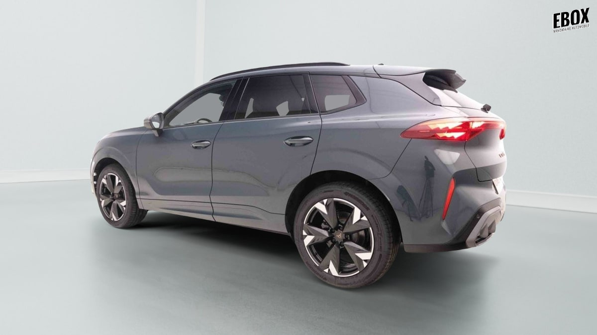 370273_p2 - CUPRA - TERRAMAR - 2025 - photo 3