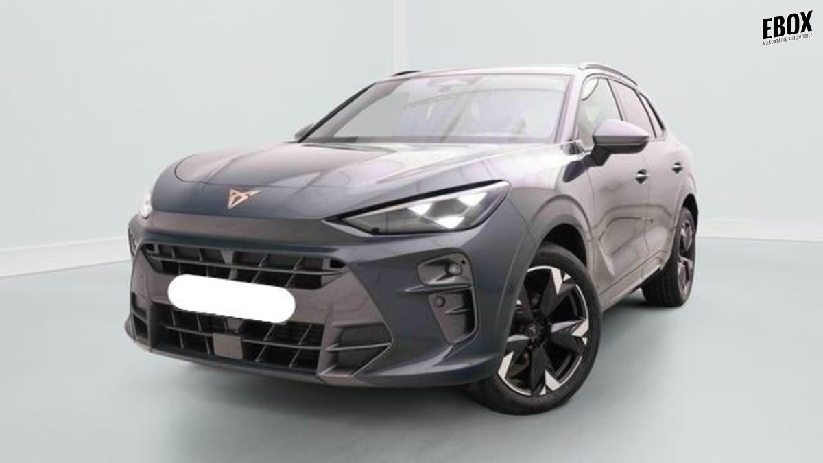 370273_p2 - CUPRA - TERRAMAR - 2025 - photo 1