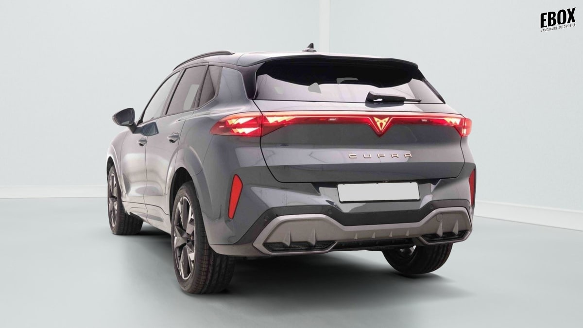 370273_p2 - CUPRA - TERRAMAR - 2025 - photo 4