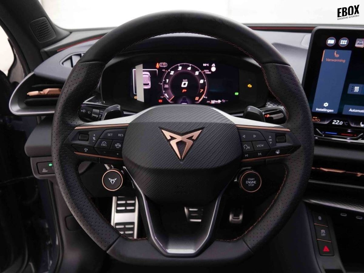 370273_p2 - CUPRA - TERRAMAR - 2025 - photo 10