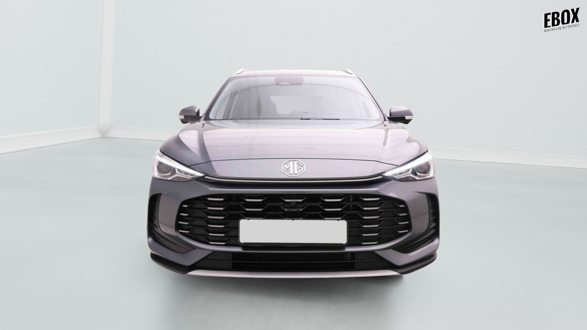 372398_p2 - MG - ZS - 2026 - photo 2