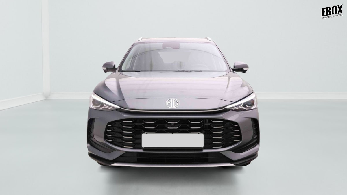 372143_p2 - MG - ZS - 2026 - photo 2