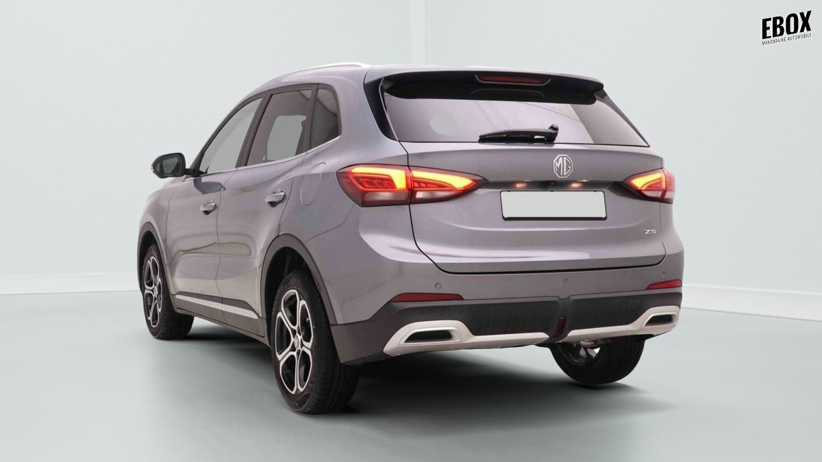 372398_p2 - MG - ZS - 2026 - photo 4