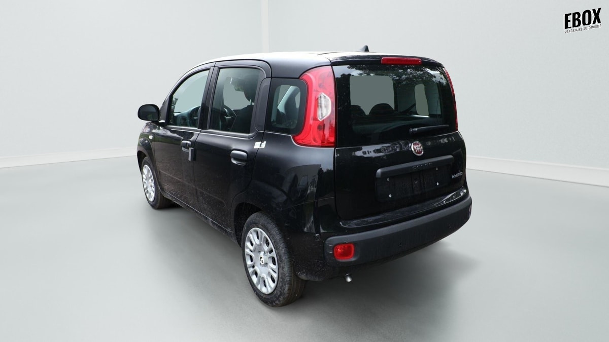 374529_p2 - FIAT - PANDA - 2026 - photo 4