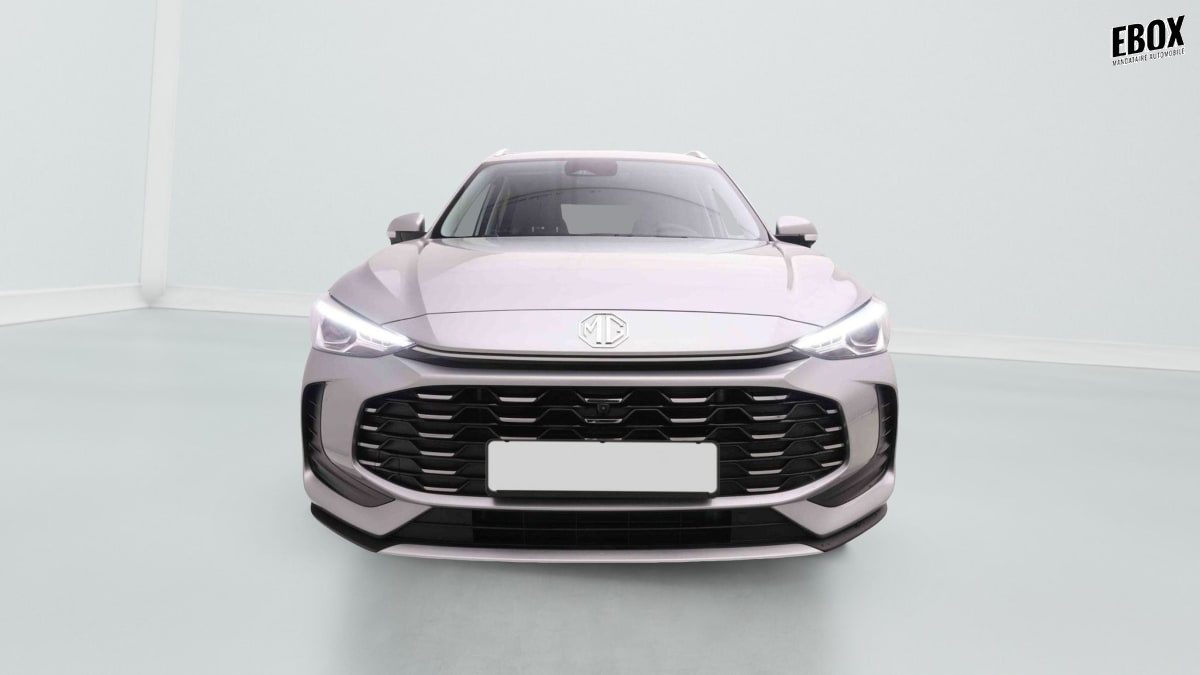 374579_p2 - MG - ZS - 2026 - photo 2