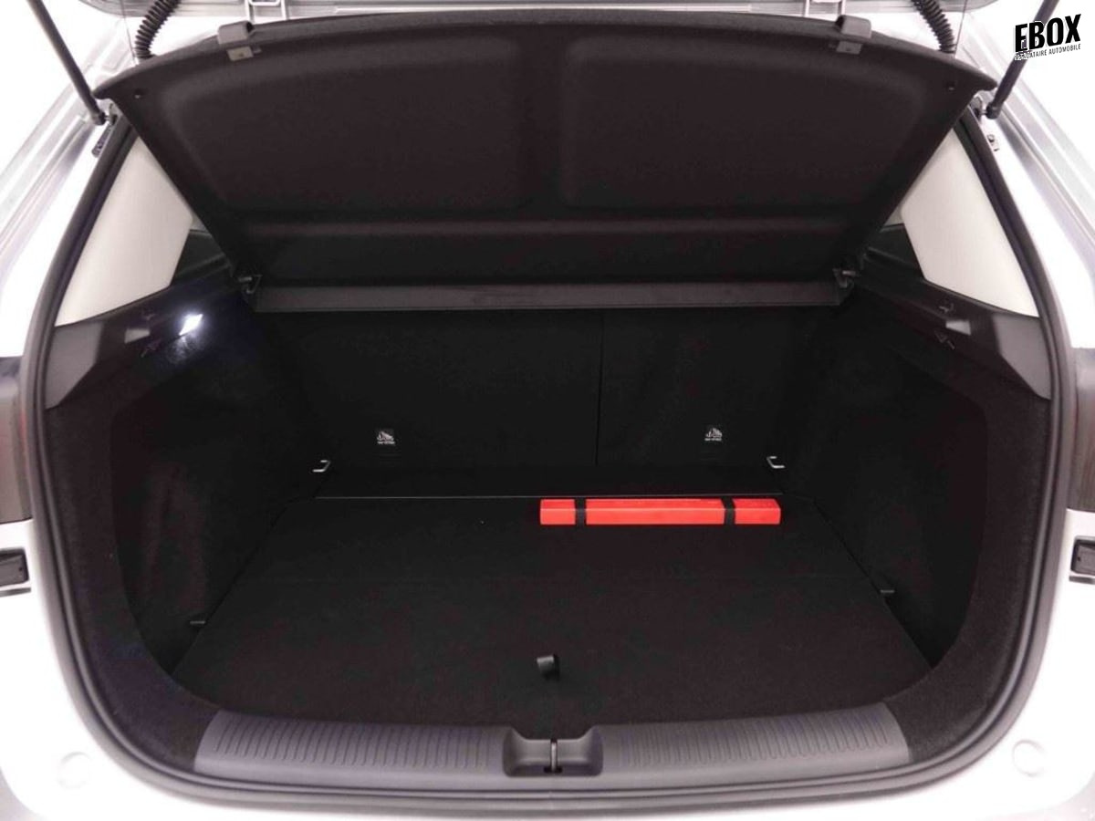 374579_p2 - MG - ZS - 2026 - photo 6