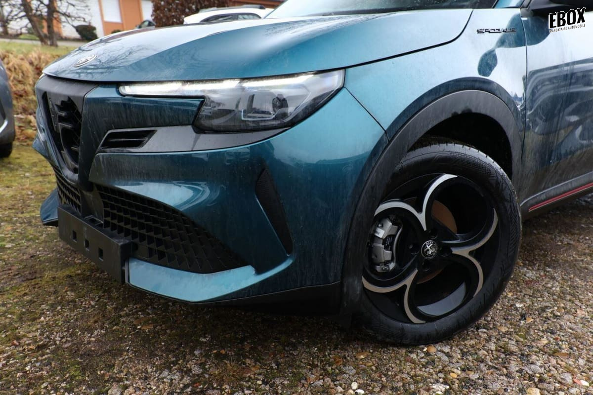 375932_p2 - ALFA ROMEO - JUNIOR - 2026 - photo 5