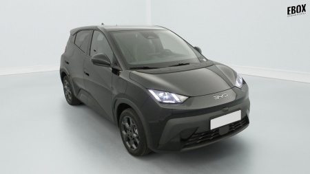 378148_p2 - BYD - DOLPHIN SURF - 2025