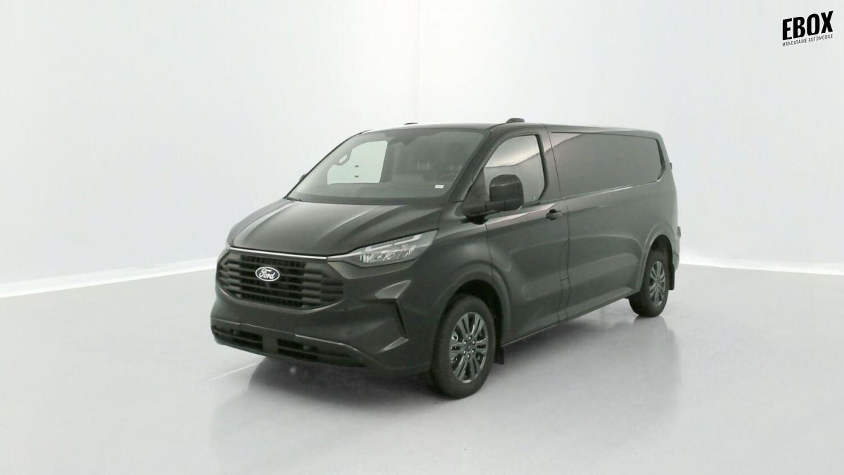 342502_p2 - FORD - TRANSIT - 2026 - photo 4