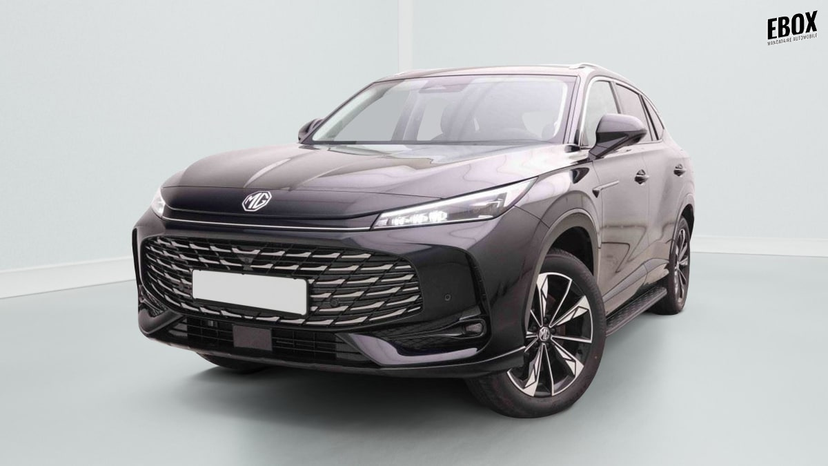 377234_p2 - MG - HS - 2026 - photo 1