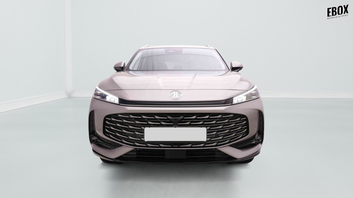 377030_p2 - MG - HS - 2026 - photo 2