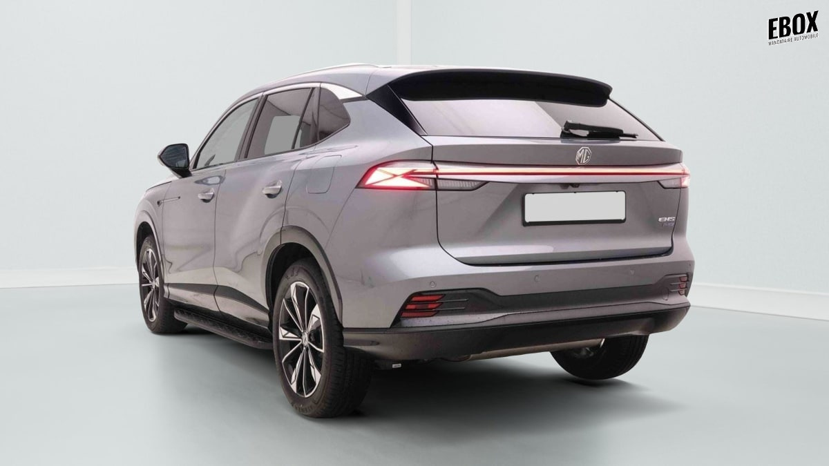 376882_p2 - MG - HS - 2026 - photo 4