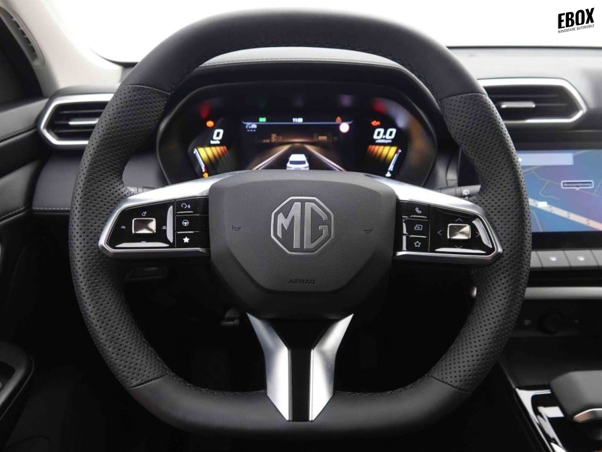 377226_p2 - MG - ZS - 2026 - photo 9