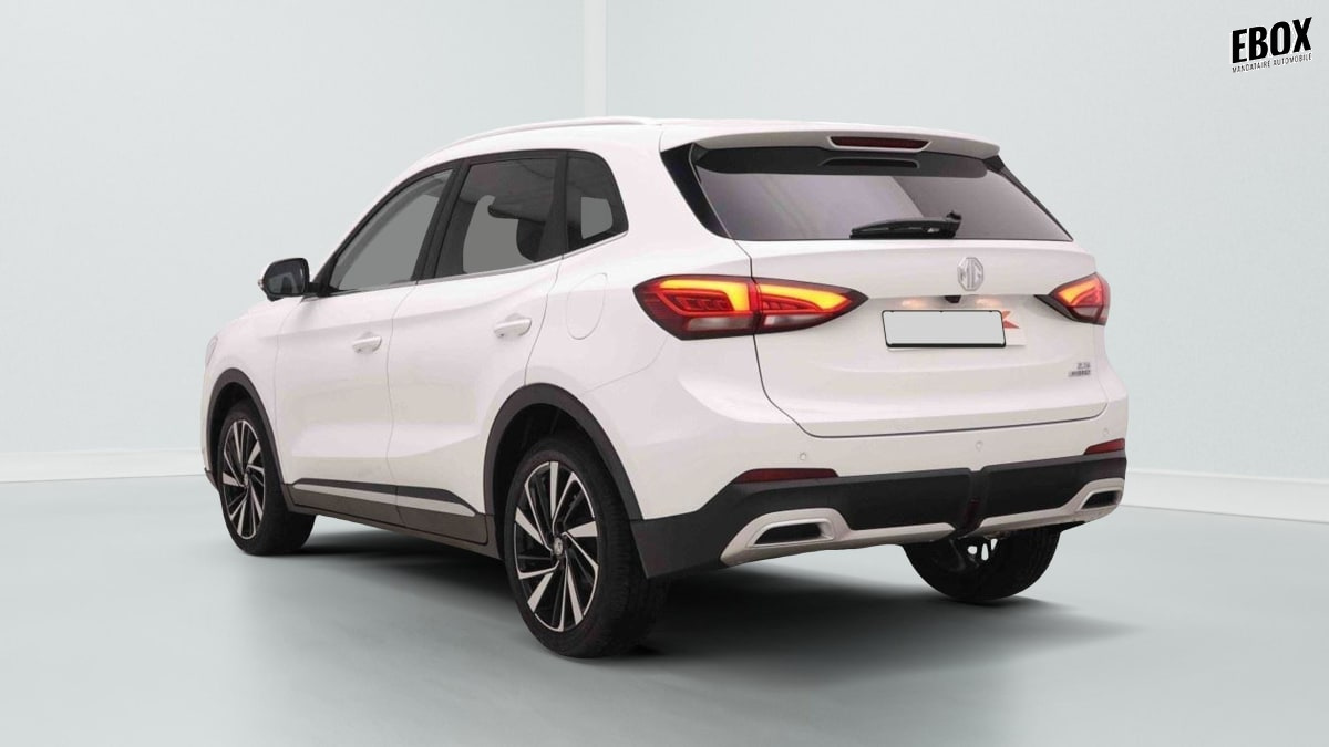 377226_p2 - MG - ZS - 2026 - photo 4