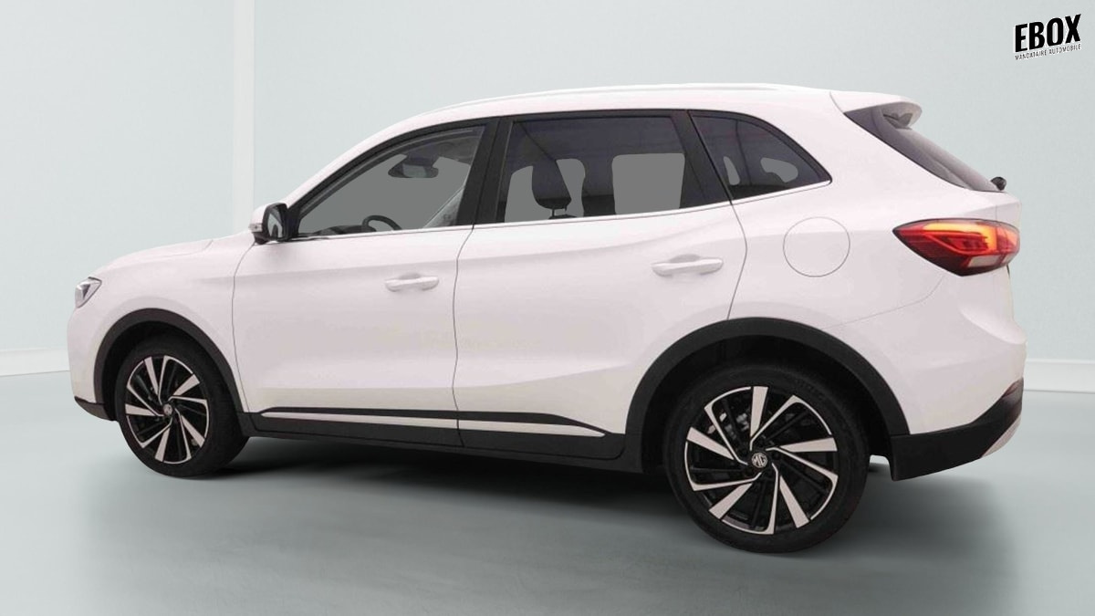 377387_p2 - MG - ZS - 2026 - photo 3