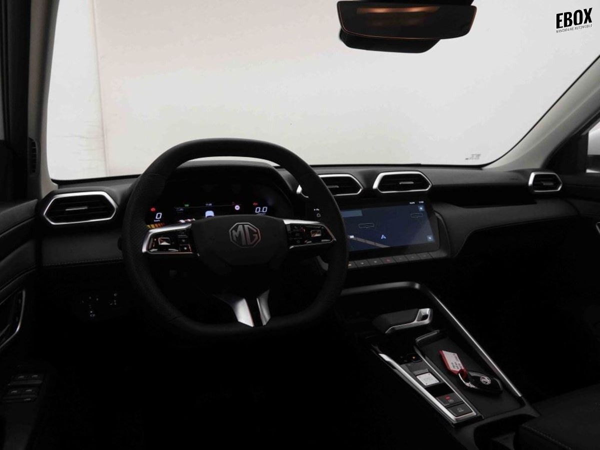 377226_p2 - MG - ZS - 2026 - photo 8