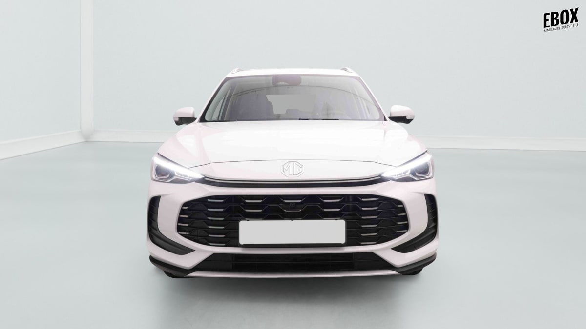 377226_p2 - MG - ZS - 2026 - photo 2