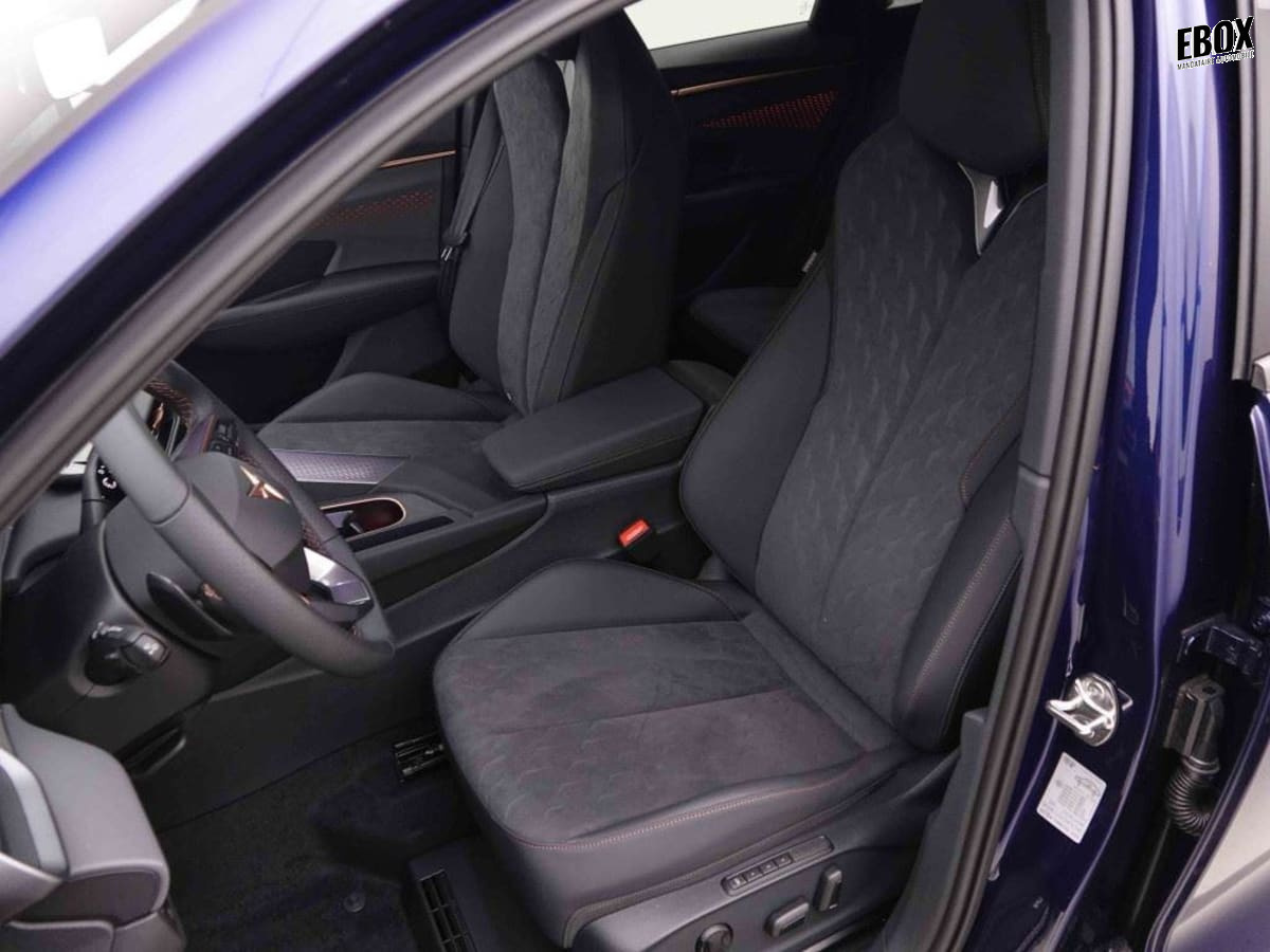 378016_p2 - CUPRA - TERRAMAR - 2026 - photo 8