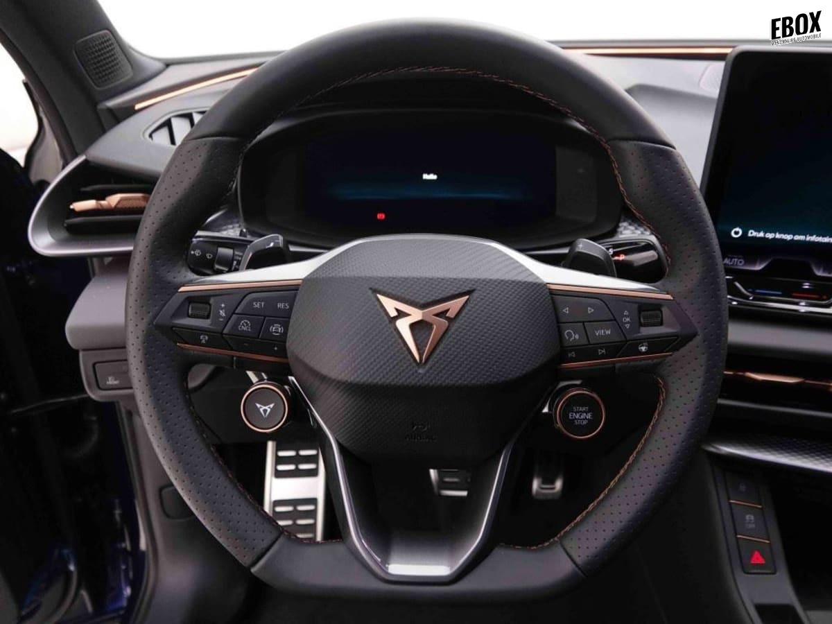 378016_p2 - CUPRA - TERRAMAR - 2026 - photo 10