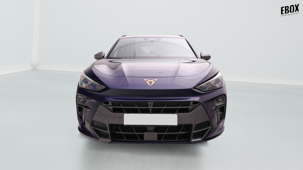 378016_p2 - CUPRA - TERRAMAR - 2026 - photo 2