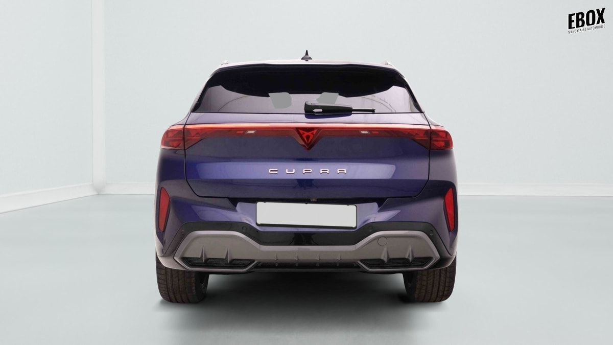 378016_p2 - CUPRA - TERRAMAR - 2026 - photo 5