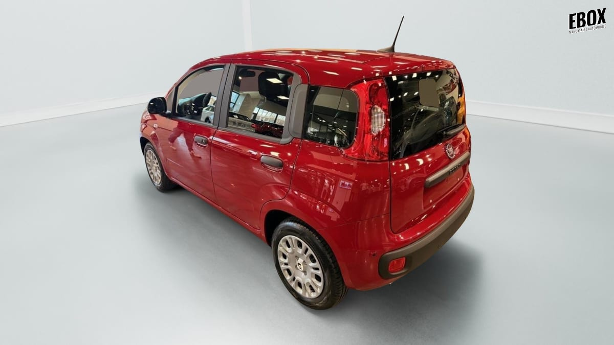 375443_p2 - FIAT - PANDA - 2025 - photo 4