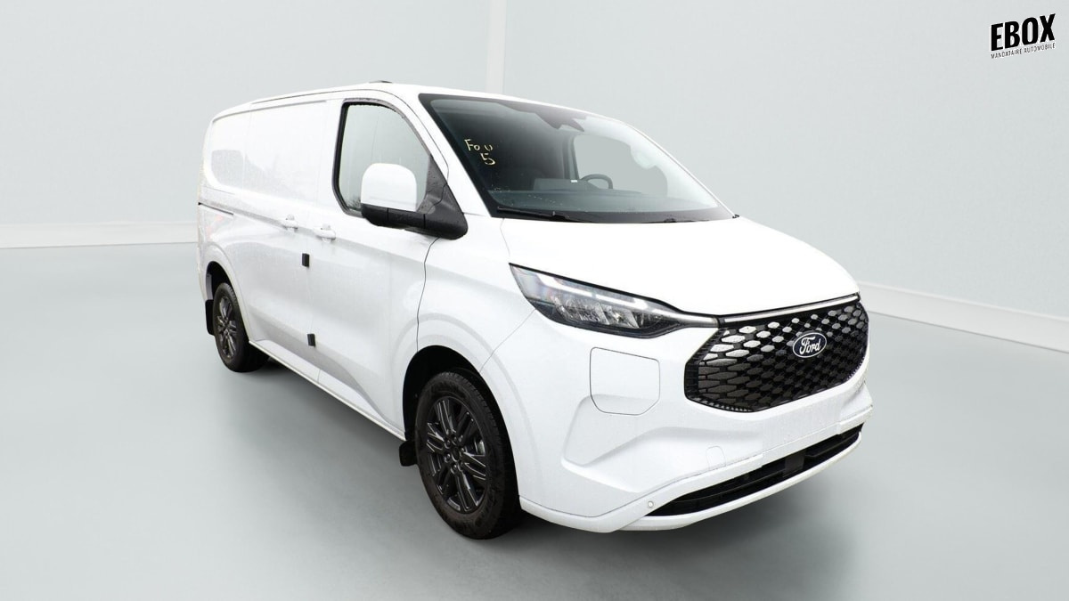 380023_p2 - FORD - TRANSIT - 2026 - photo 1