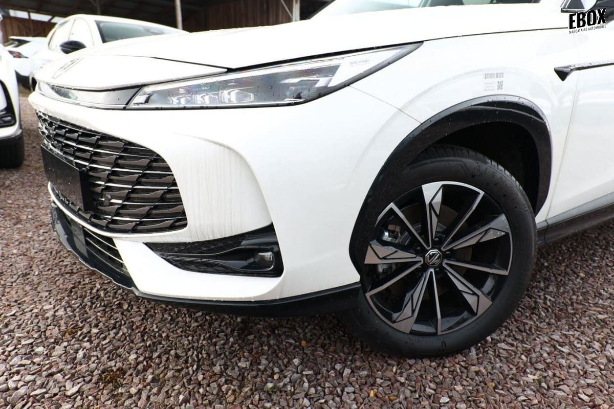 379453_p2 - MG - EHS - 2026 - photo 5