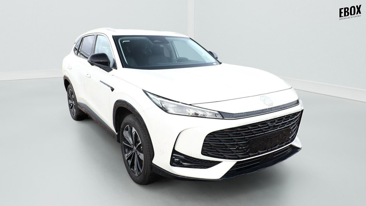 379453_p2 - MG - EHS - 2026 - photo 1